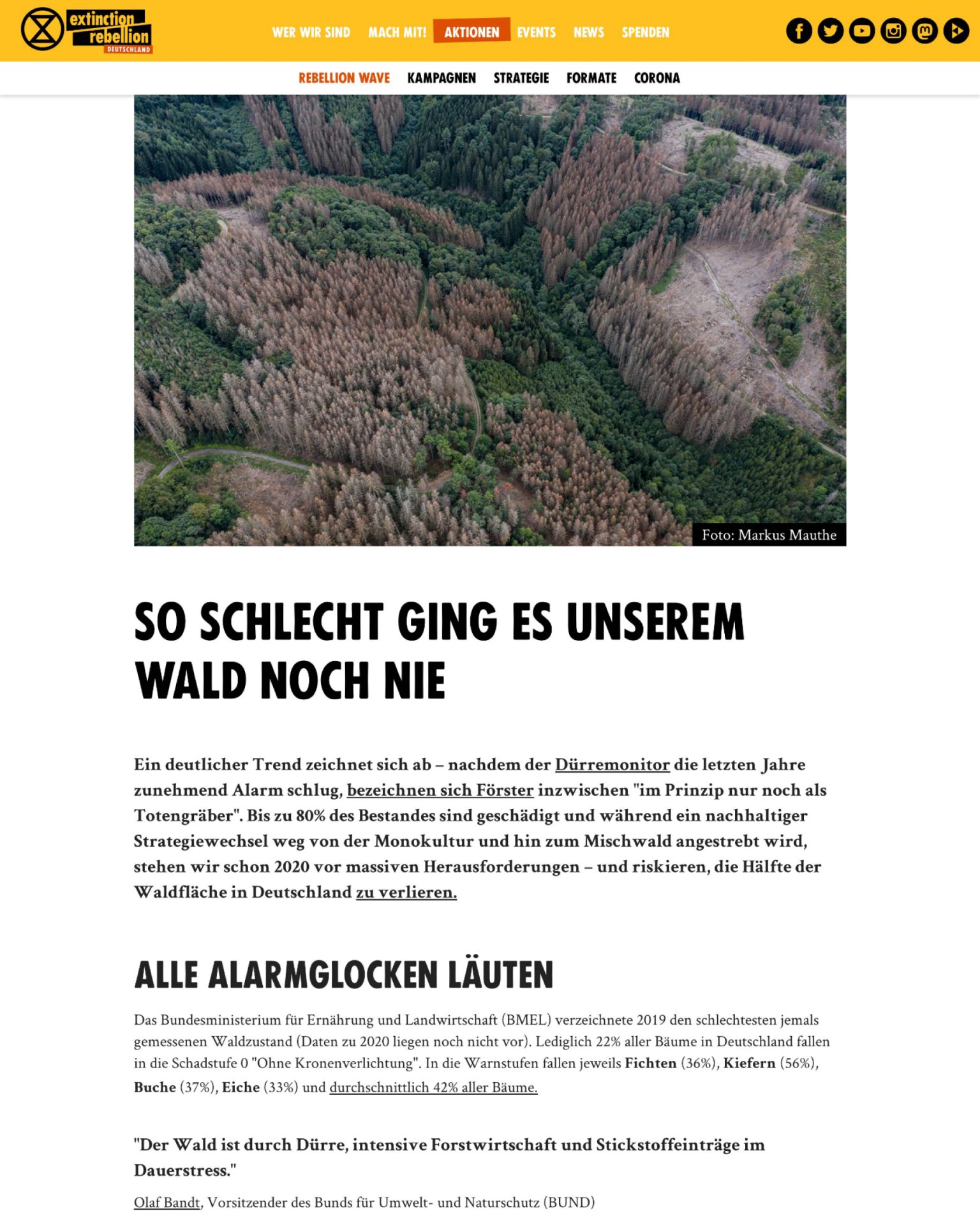 web-content-xr-wald